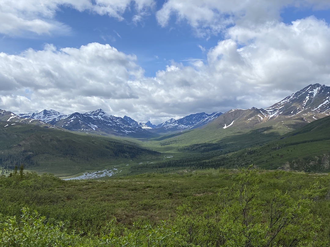 Tombstone NP