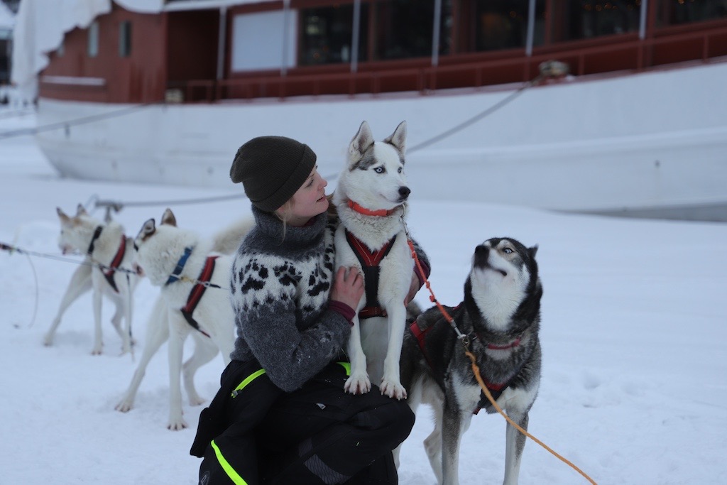 Husky