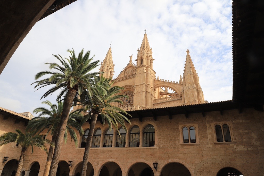 Palma